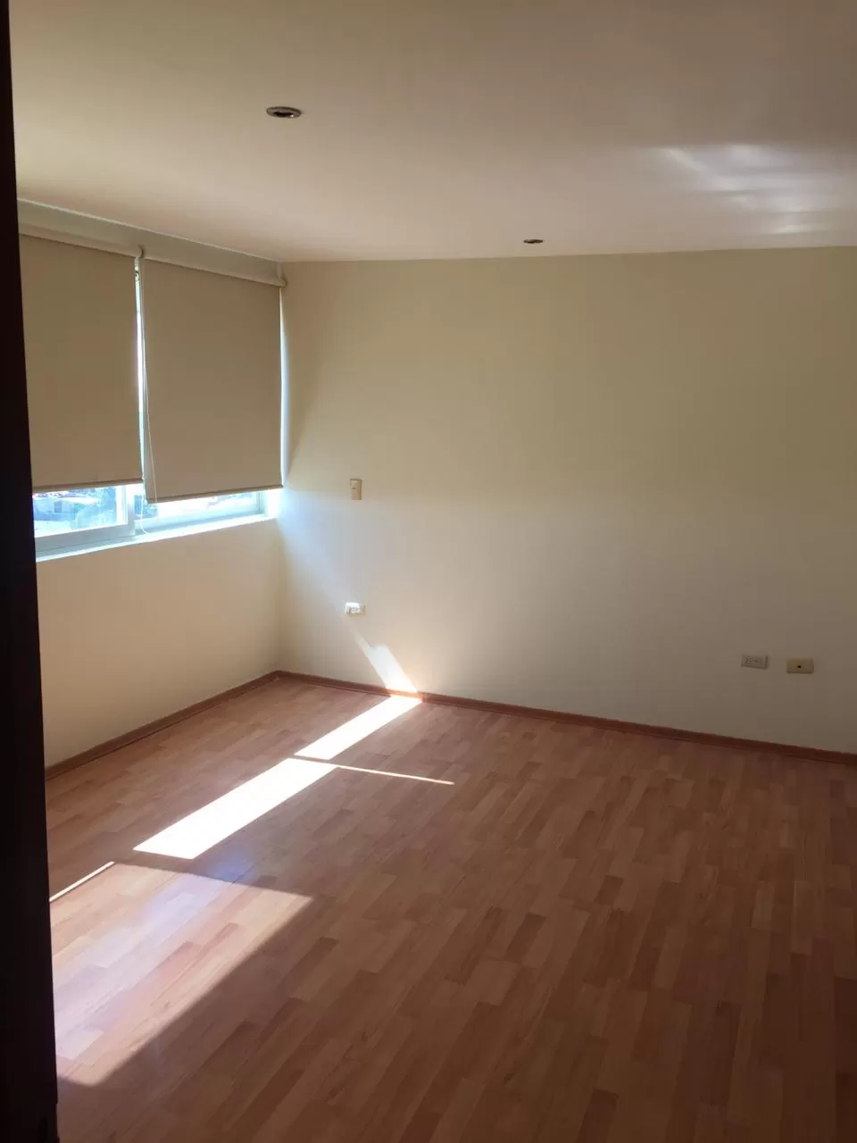 Penthouse con roofgarden,